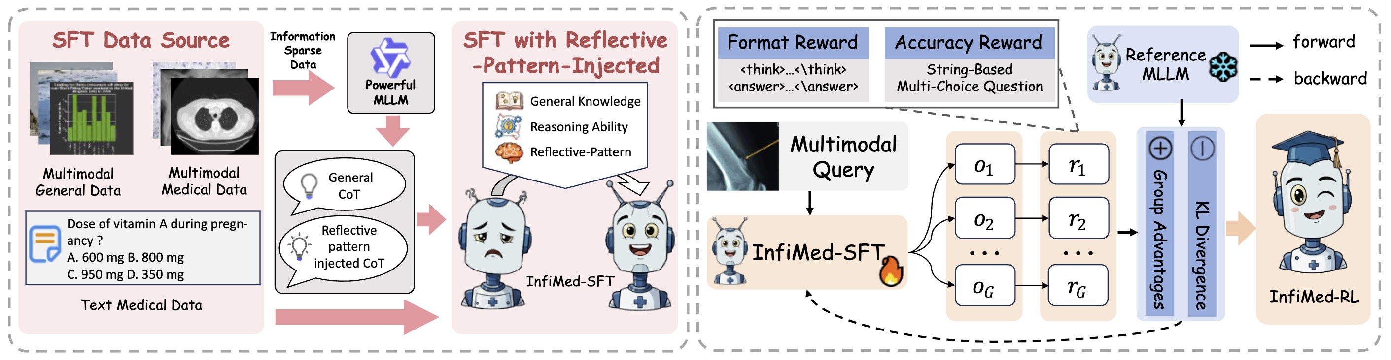 Framework of InfiMed