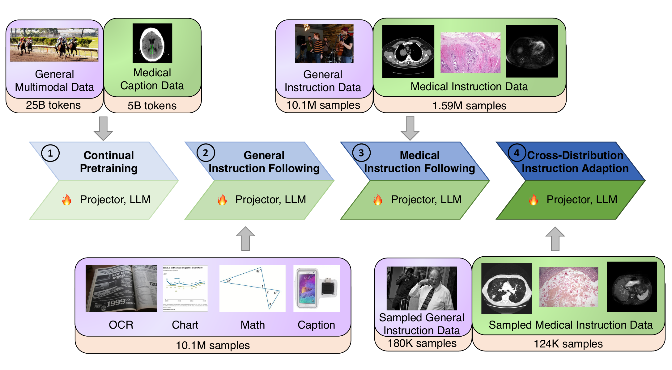 Training pipeline of InfiMed-Foundation
